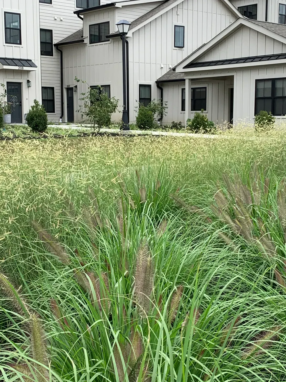 Commercial landscape design with planting beds, grasses, and seasonal color image 21