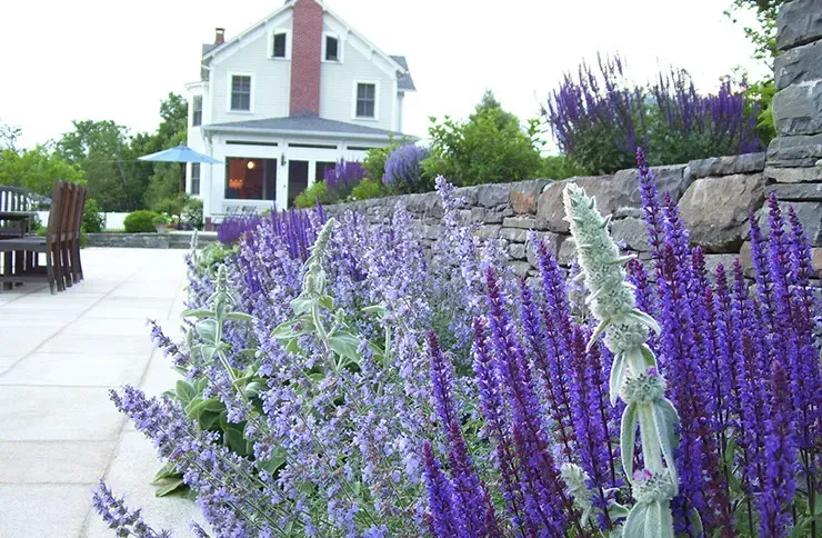 Cottage garden design with layered planting and seasonal landscape color image 20