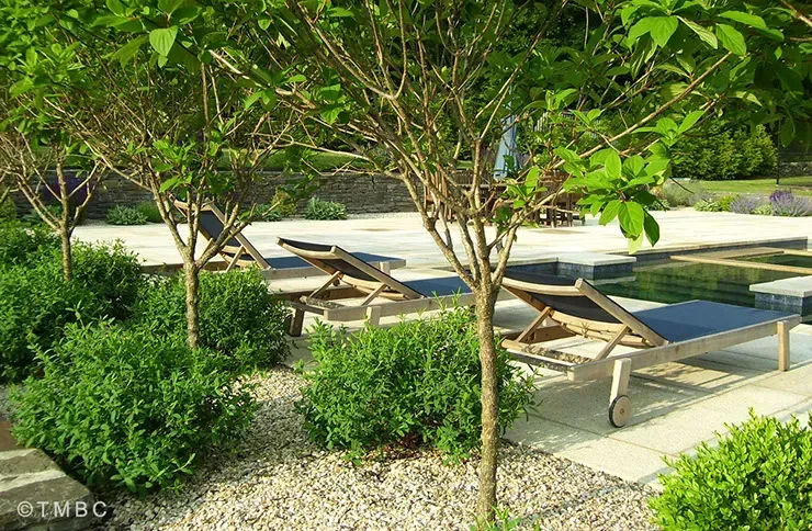 Cottage garden design with layered planting and seasonal landscape color image 24