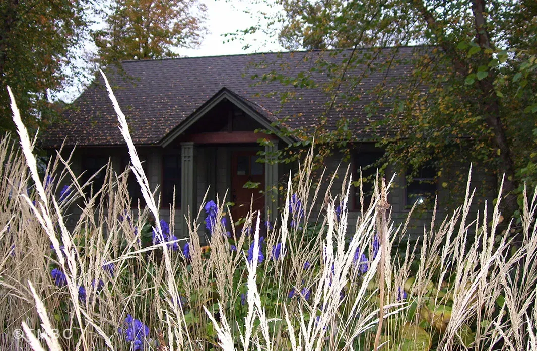 Cottage garden design with layered planting and seasonal landscape color image 13