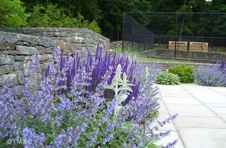Landscape design project with garden structure, planting, and outdoor space image 4