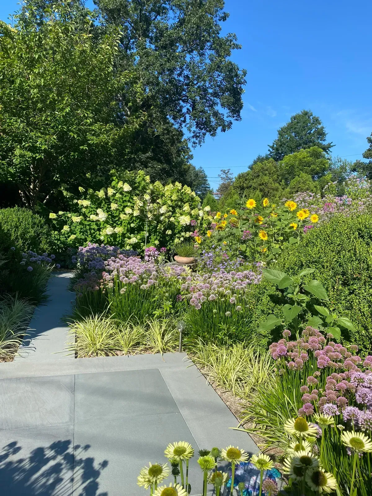 Landscape design project with garden structure, planting, and outdoor space image 7