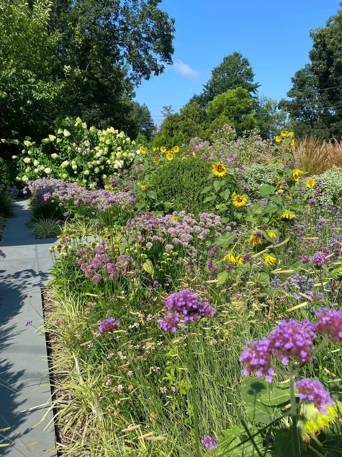 Landscape design project with garden structure, planting, and outdoor space image 8