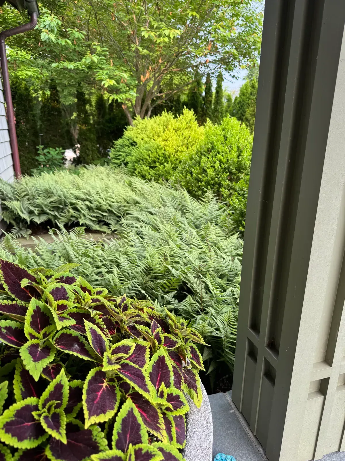 Landscape design project with garden structure, planting, and outdoor space image 11