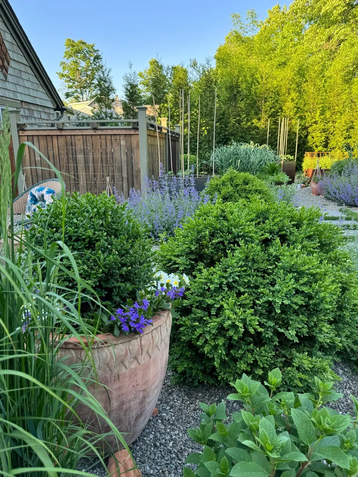 Landscape design project with garden structure, planting, and outdoor space image 13