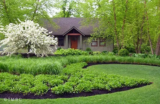 Landscape design project with garden structure, planting, and outdoor space image 15