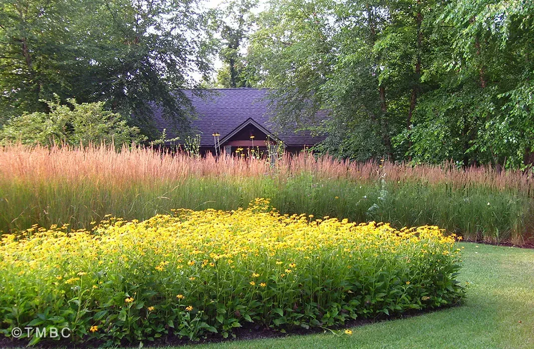 Landscape design project with garden structure, planting, and outdoor space image 16