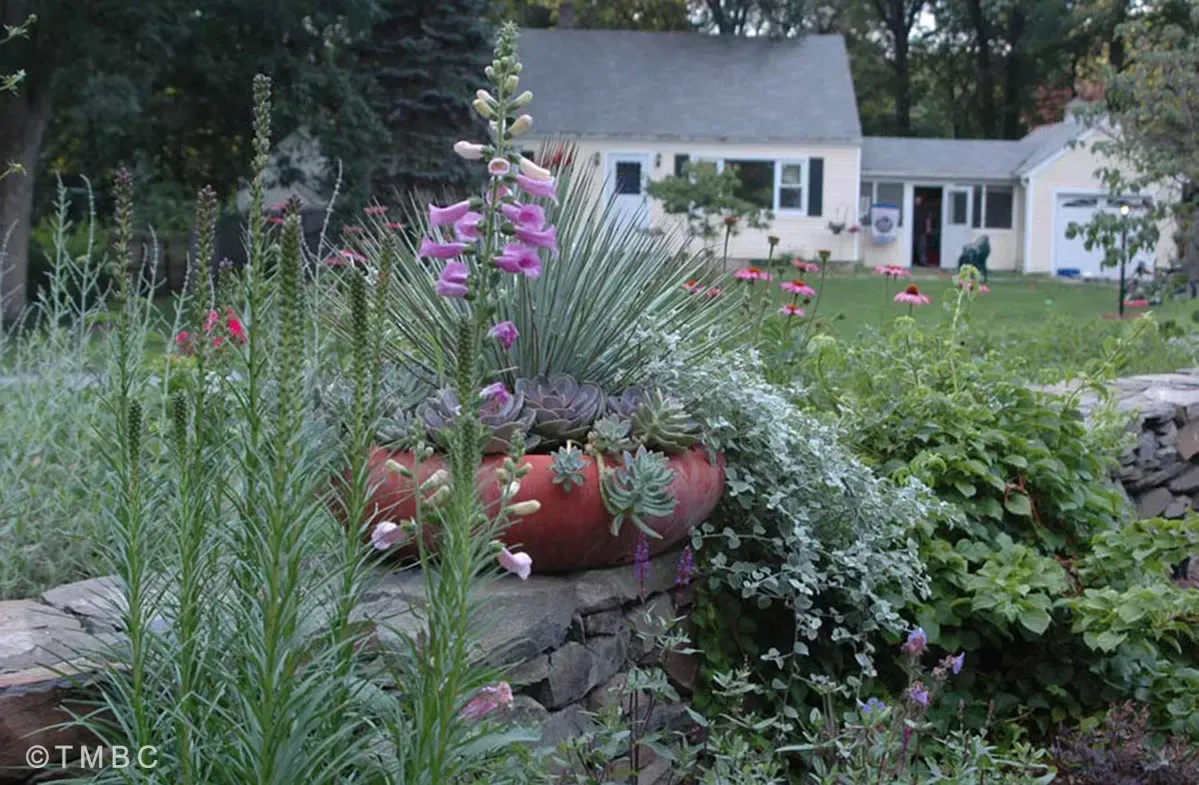 Landscape design project with garden structure, planting, and outdoor space image 24