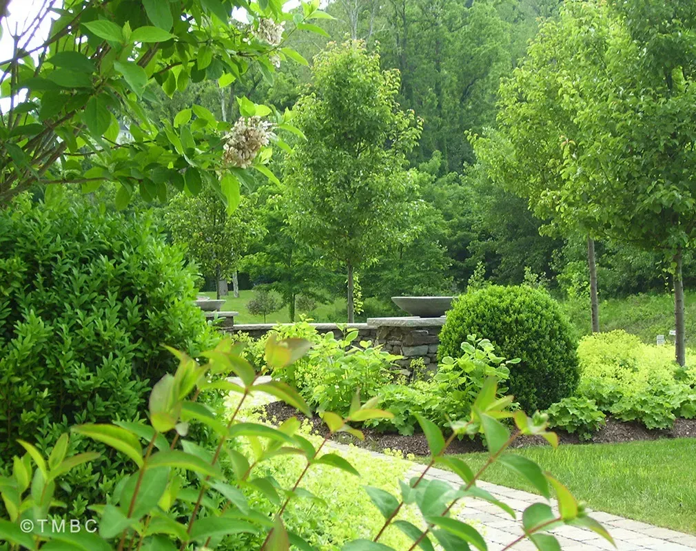 Landscape design project with garden structure, planting, and outdoor space image 47