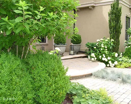 Landscape design project with garden structure, planting, and outdoor space image 48