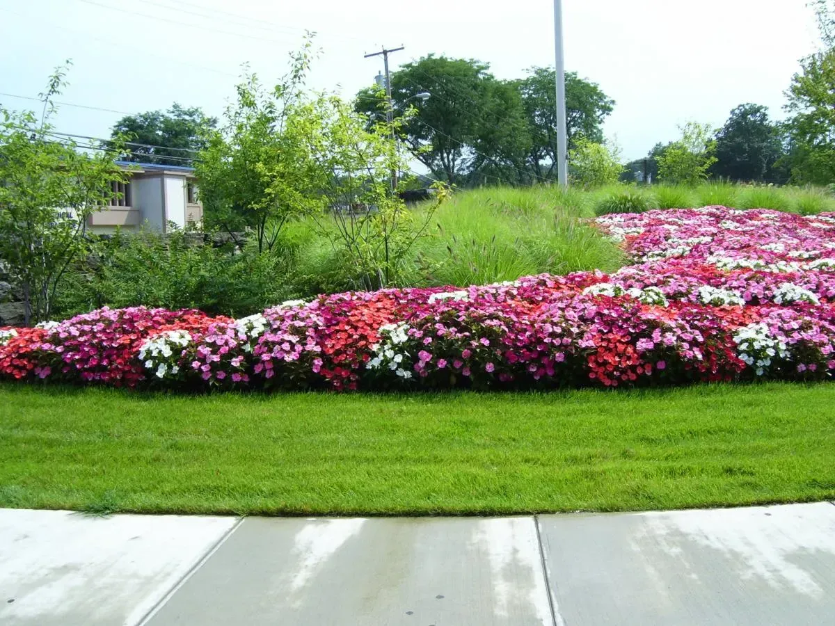 Landscape design project with garden structure, planting, and outdoor space image 50
