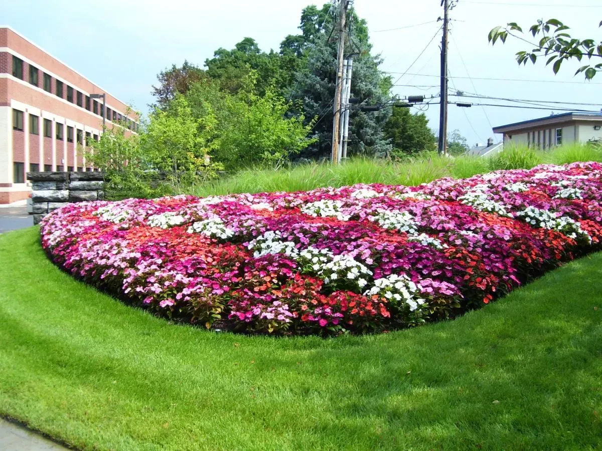 Landscape design project with garden structure, planting, and outdoor space image 52
