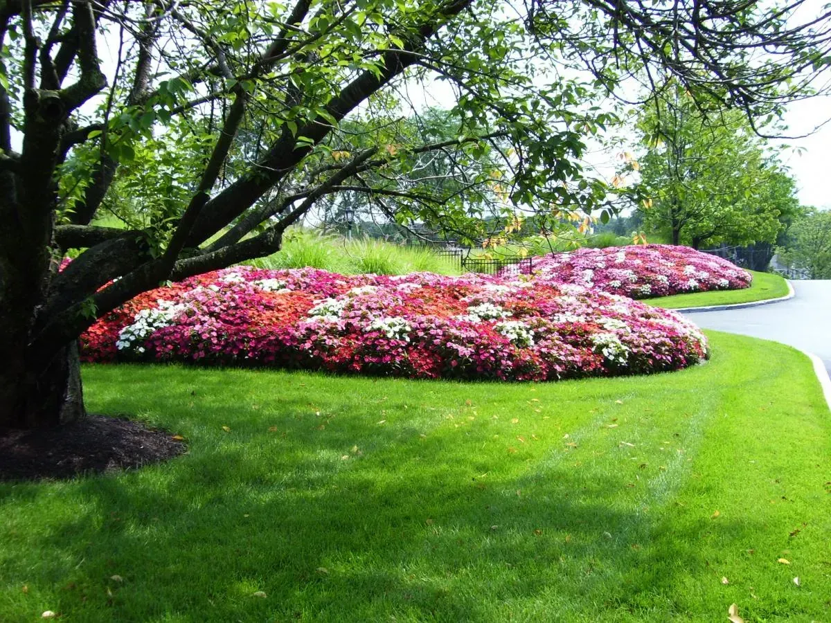 Landscape design project with garden structure, planting, and outdoor space image 53