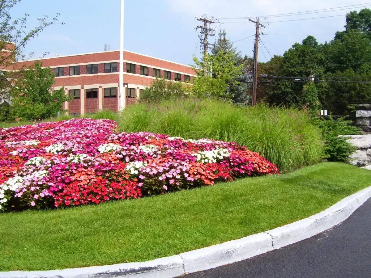 Landscape design project with garden structure, planting, and outdoor space image 57