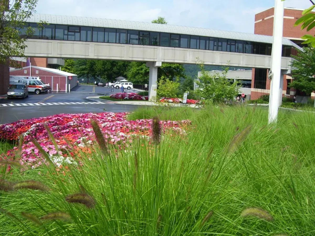 Landscape design project with garden structure, planting, and outdoor space image 61