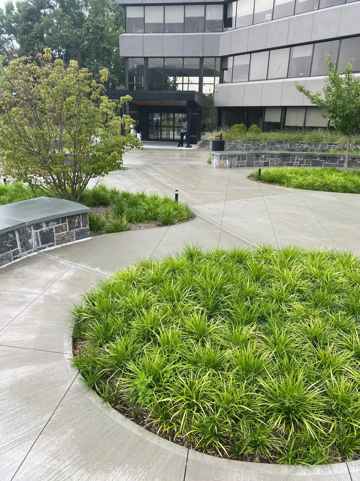 Landscape design project with garden structure, planting, and outdoor space image 64