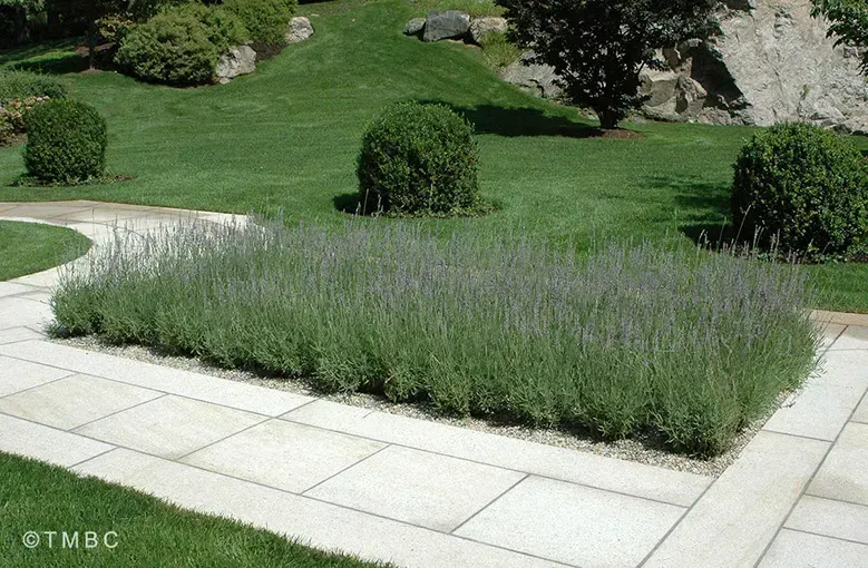 Landscape design project with garden structure, planting, and outdoor space image 18
