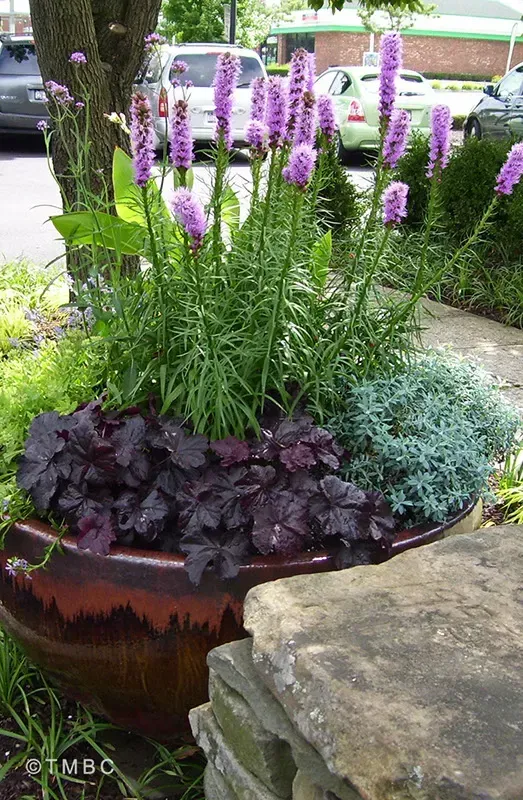 Pottery planting, container garden, seasonal flowers, and garden accent image 4