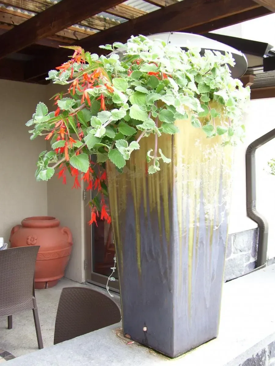 Pottery planting, container garden, seasonal flowers, and garden accent image 13