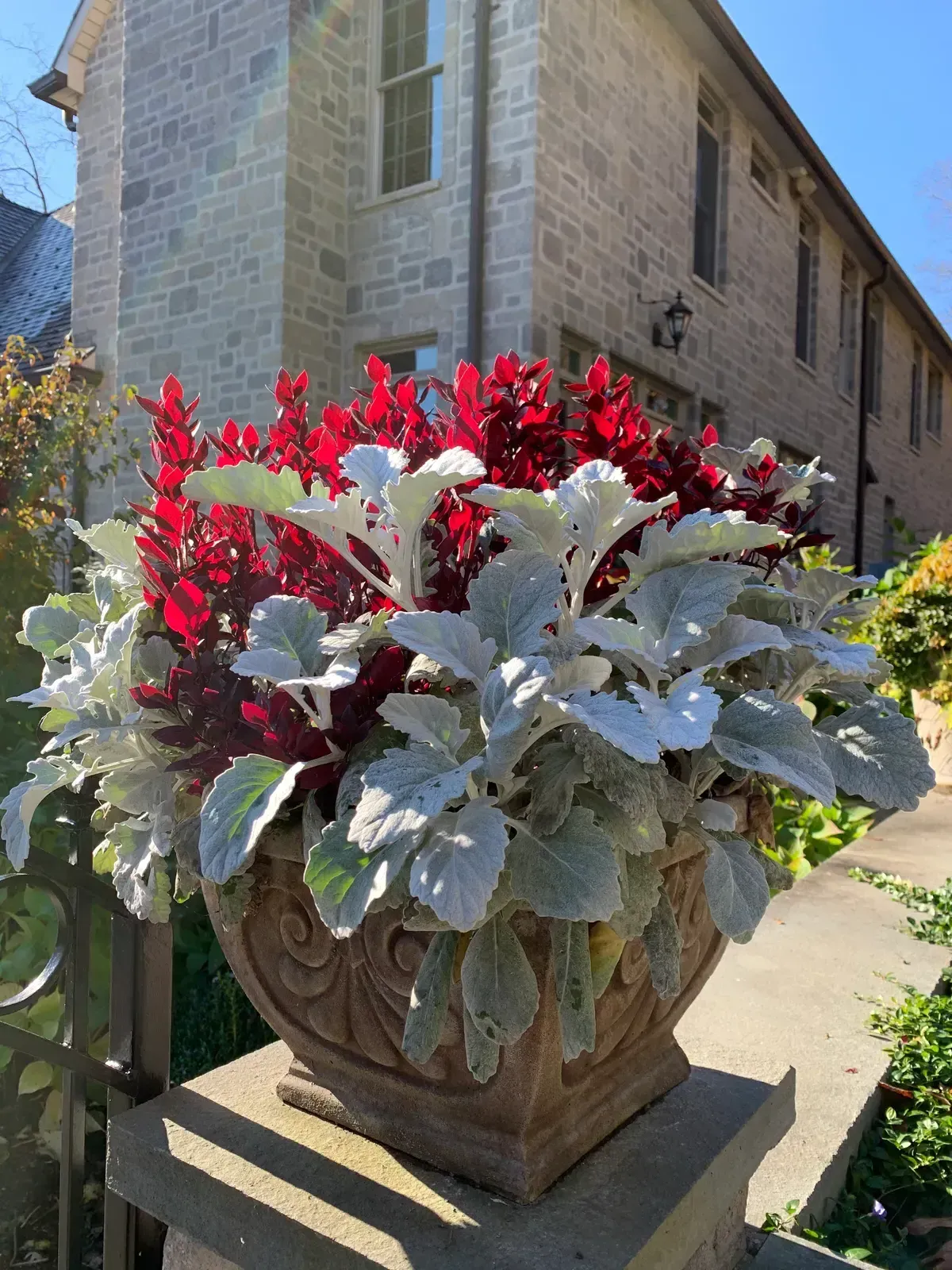 Pottery planting, container garden, seasonal flowers, and garden accent image 8
