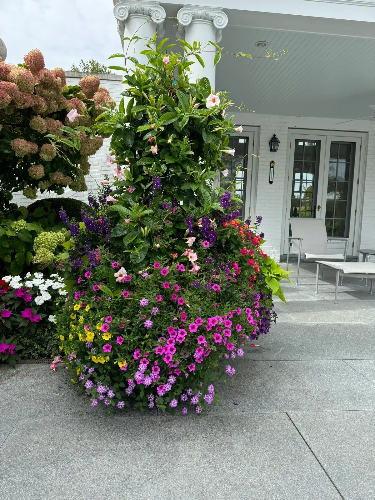 Pottery planting, container garden, seasonal flowers, and garden accent image 11
