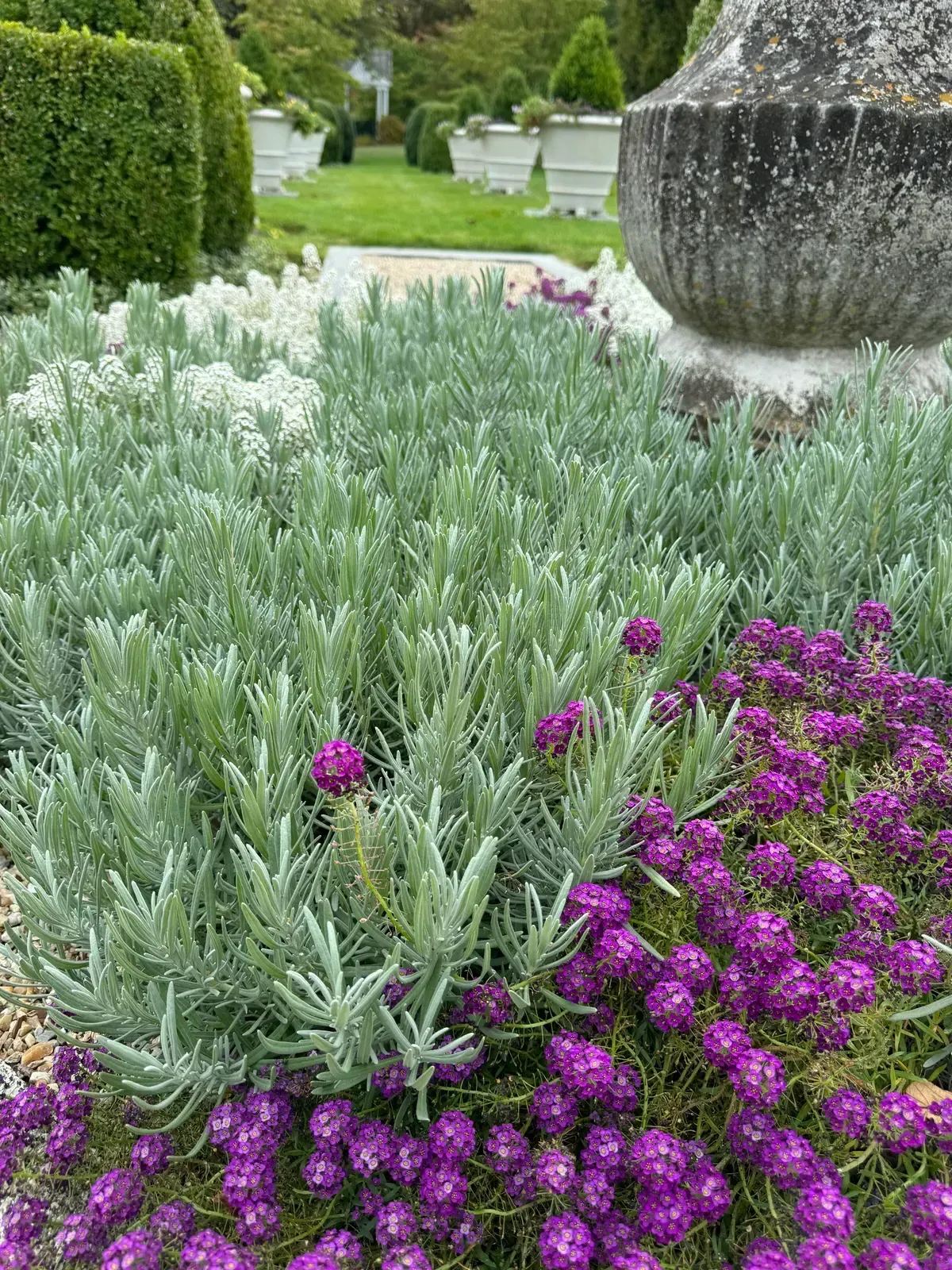Pottery planting, container garden, seasonal flowers, and garden accent image 12